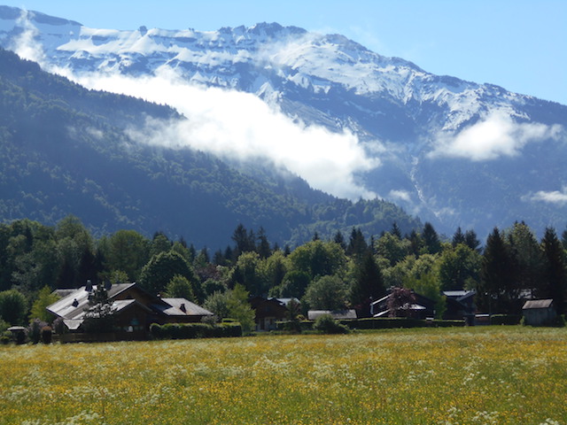 11-Mai-28-Prépa.LilleHardelot3