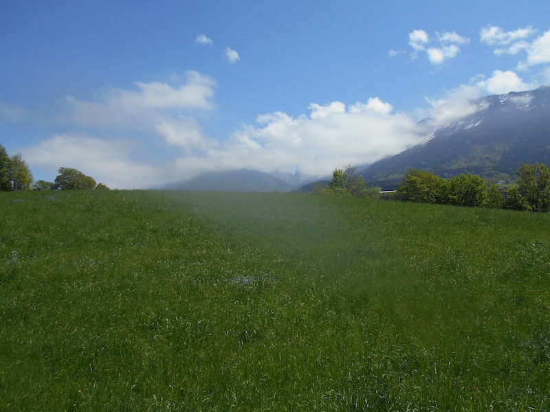 11-Mai-28-Prépa.LilleHardelot6