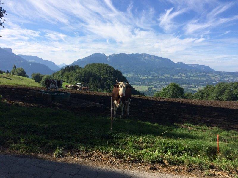 13 Aout 17 - Tour du Môle (7)