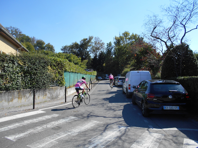 Filet de perches du Léman -DSCN0408