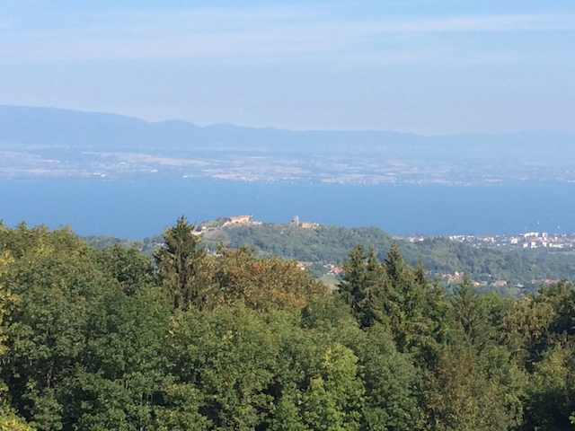 Filet de Perches au Léman-0723
