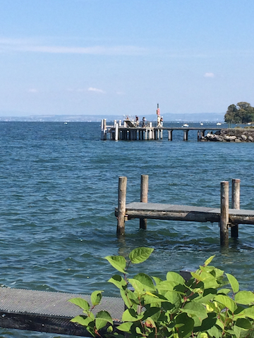 Filet de Perches au Léman-IMG_0729