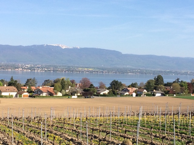 22 Avril - Bord du Lac - Yvoire