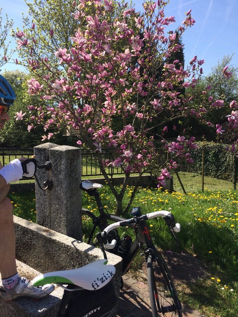 22 Avril - Bord du Lac - Yvoire