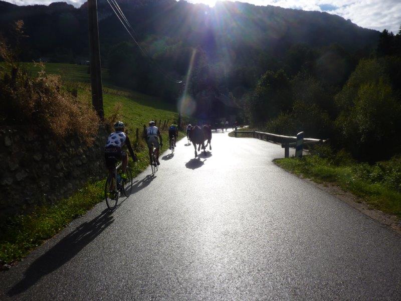 P1090817 - Scott Cimes du Lac