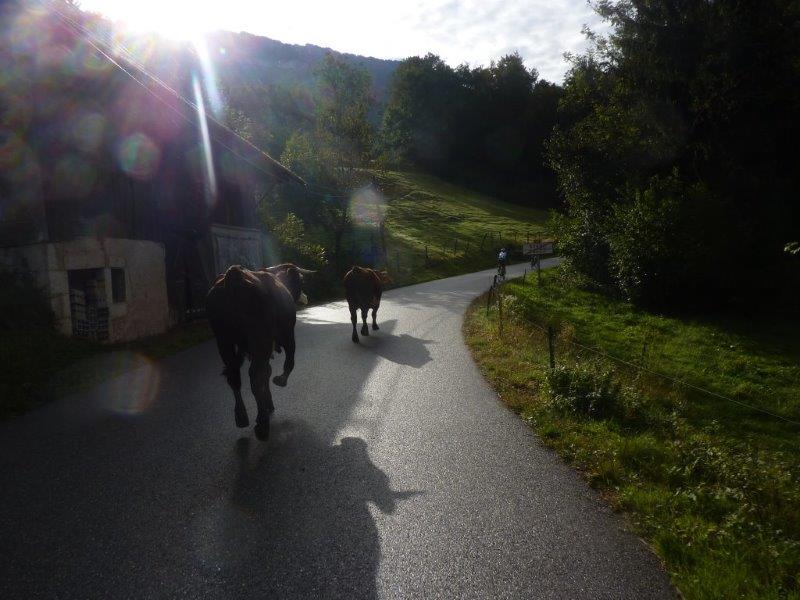 P1090819 - Scott Cimes du Lac