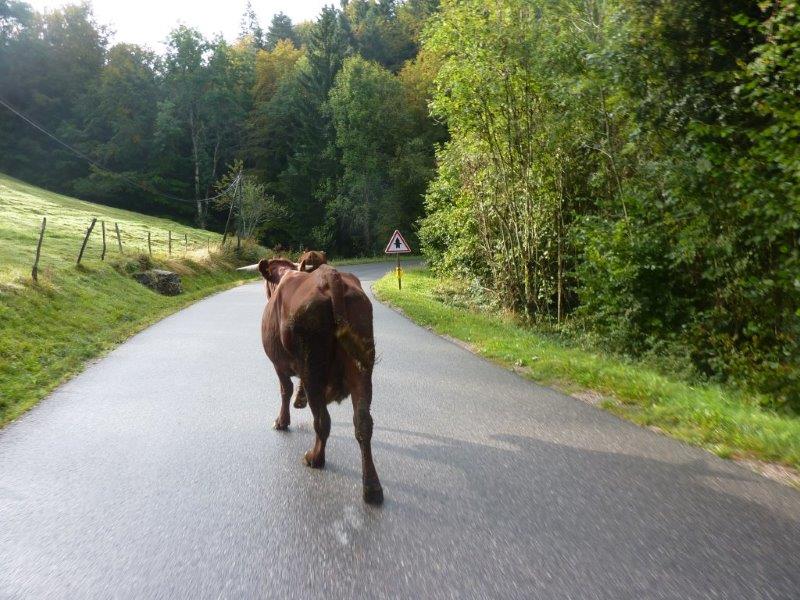 P1090820 - Scott Cimes du Lac