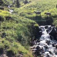 6ème étape Jausiers-Rimplas