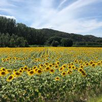 8ème étape  TER Nice-Marseille-Avignon ViaRhona Avignon-Bourg Saint Andéol 