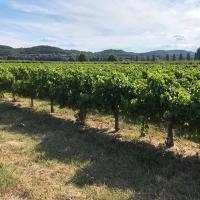 8ème étape  TER Nice-Marseille-Avignon ViaRhona Avignon-Bourg Saint Andéol 