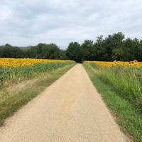 9ème étape  ViaRhona Bourg Saint Andéol-Valence Route Valence-Montélier