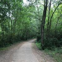 9ème étape  ViaRhona Bourg Saint Andéol-Valence Route Valence-Montélier