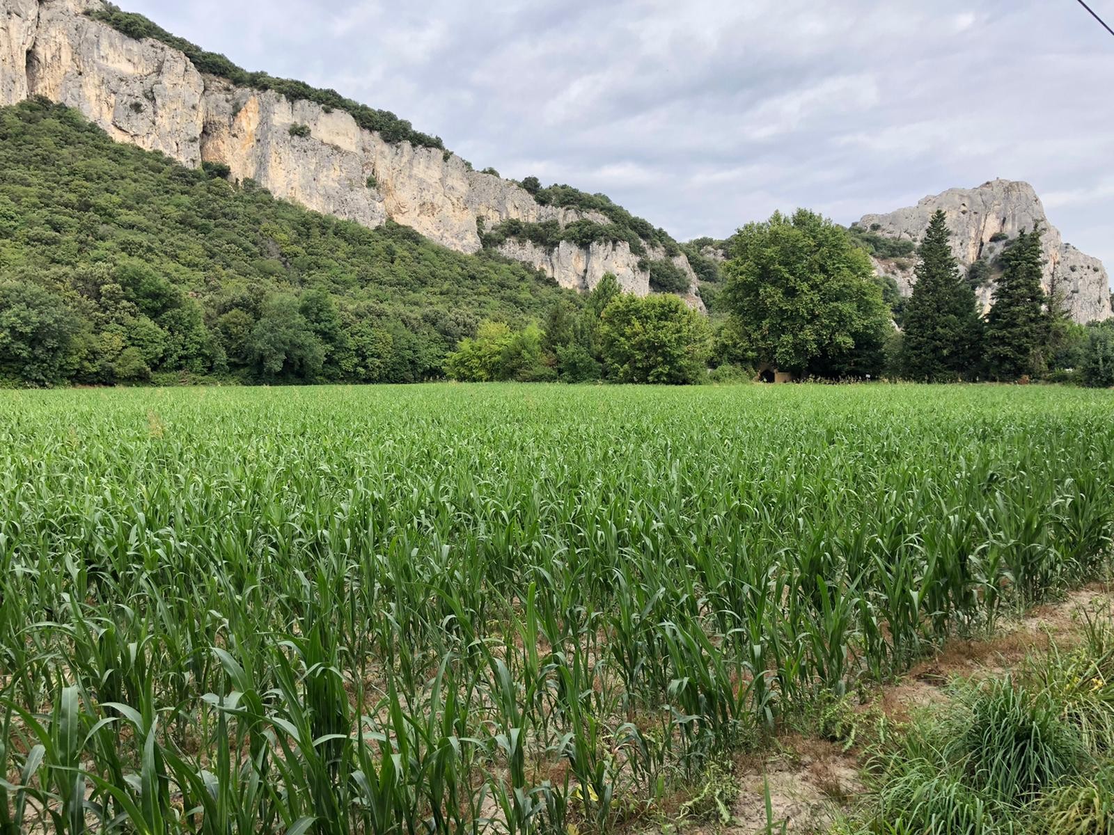 9ème étape  ViaRhona Bourg Saint Andéol-Valence Route Valence-Montélier