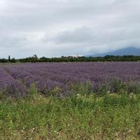 10ème étape Montélier-Voiron