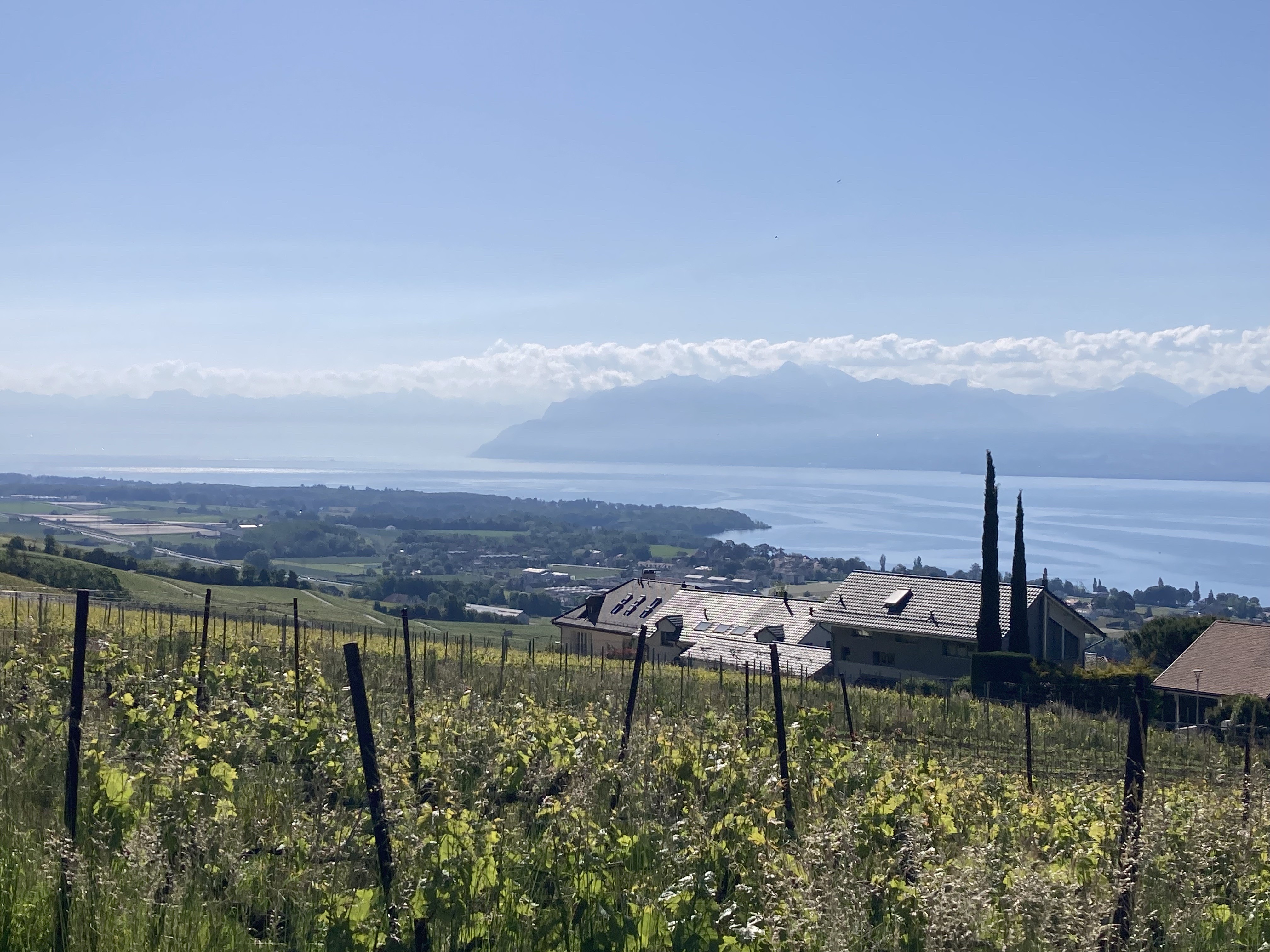 18 Mai 25 - Externe (Suisse)