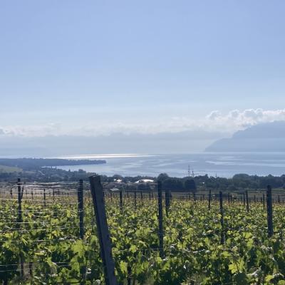 18 Mai 25 - Externe (Suisse)