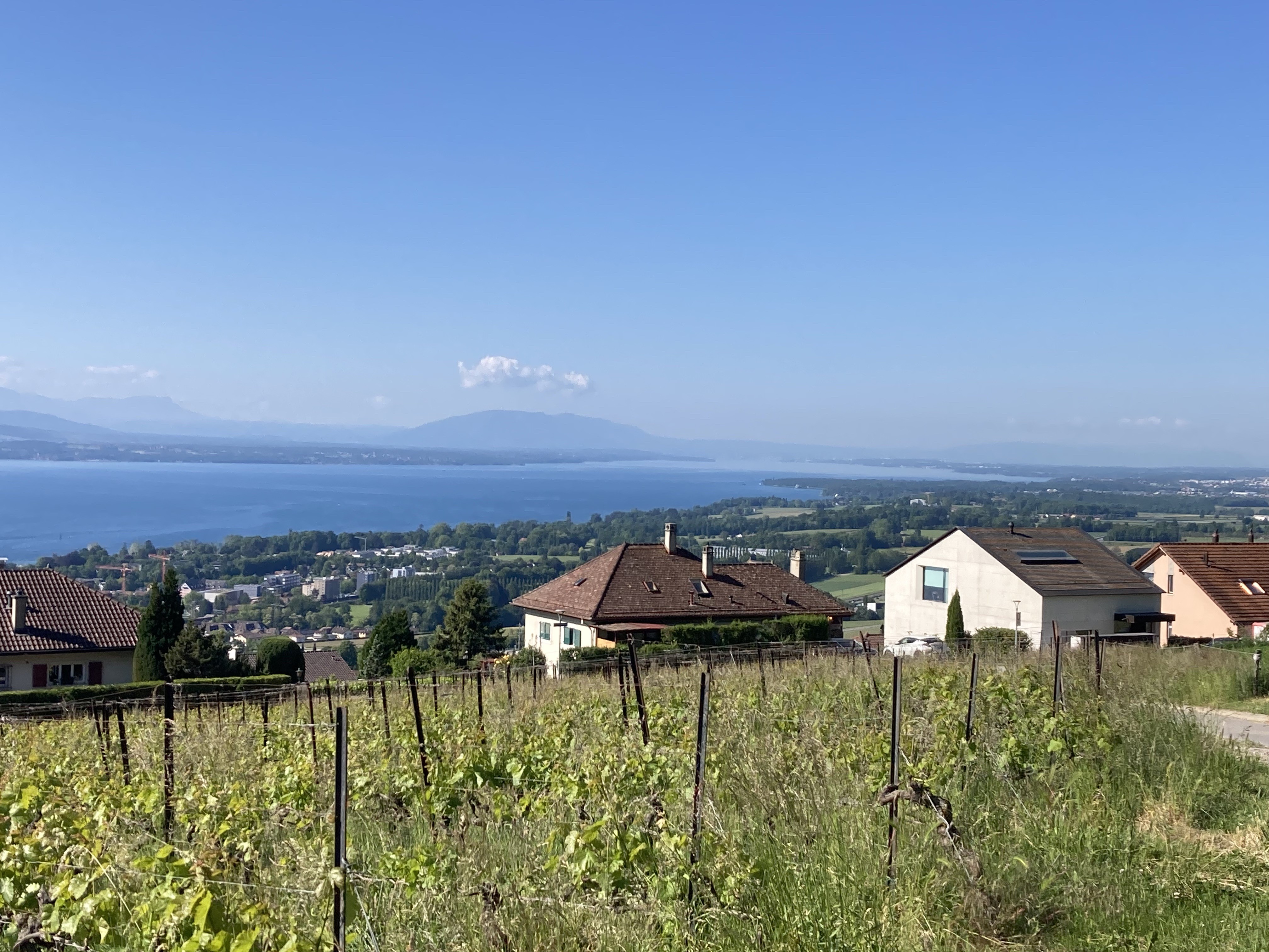 18 Mai 25 - Externe (Suisse)