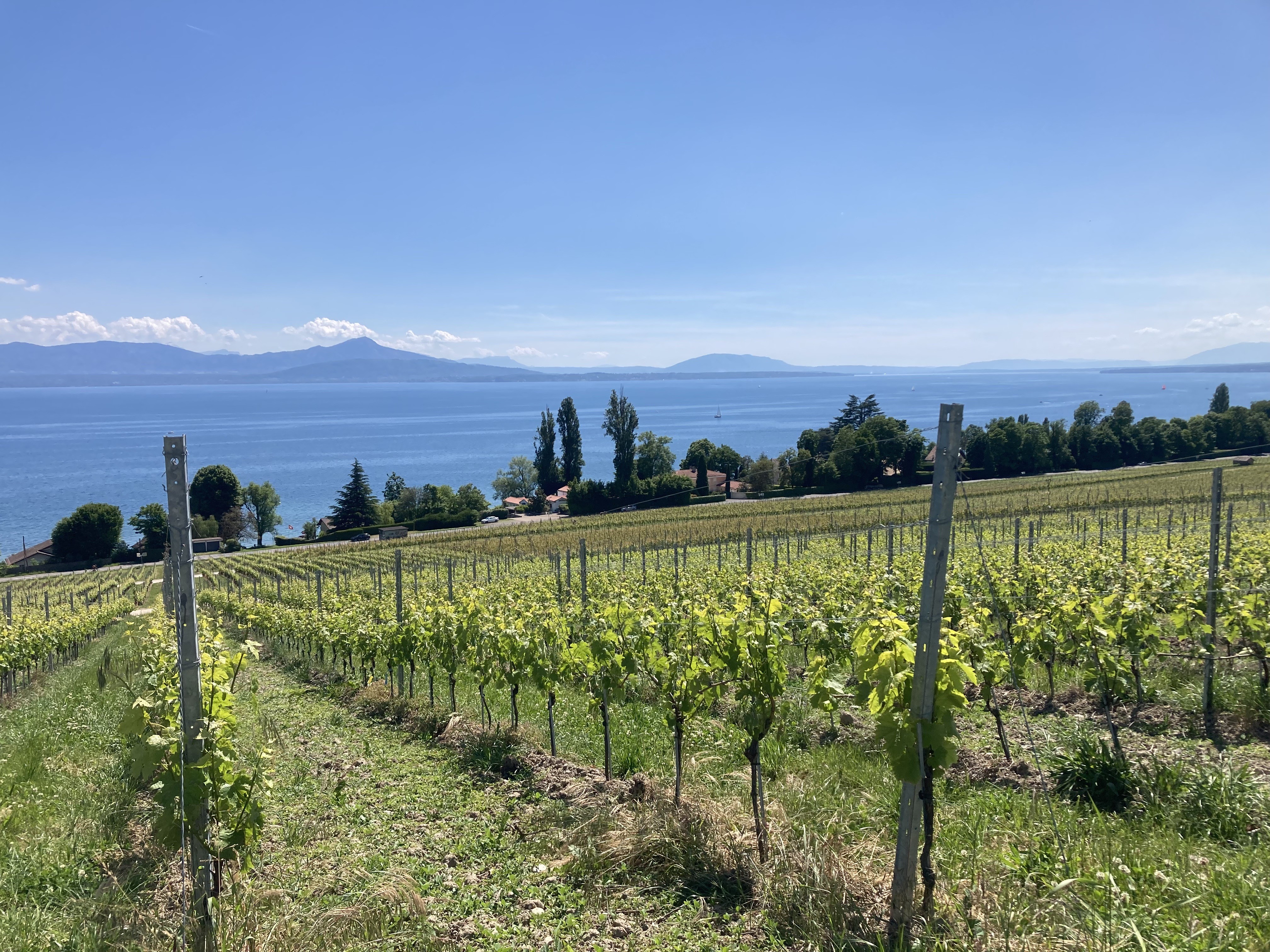 18 Mai 25 - Externe (Suisse)