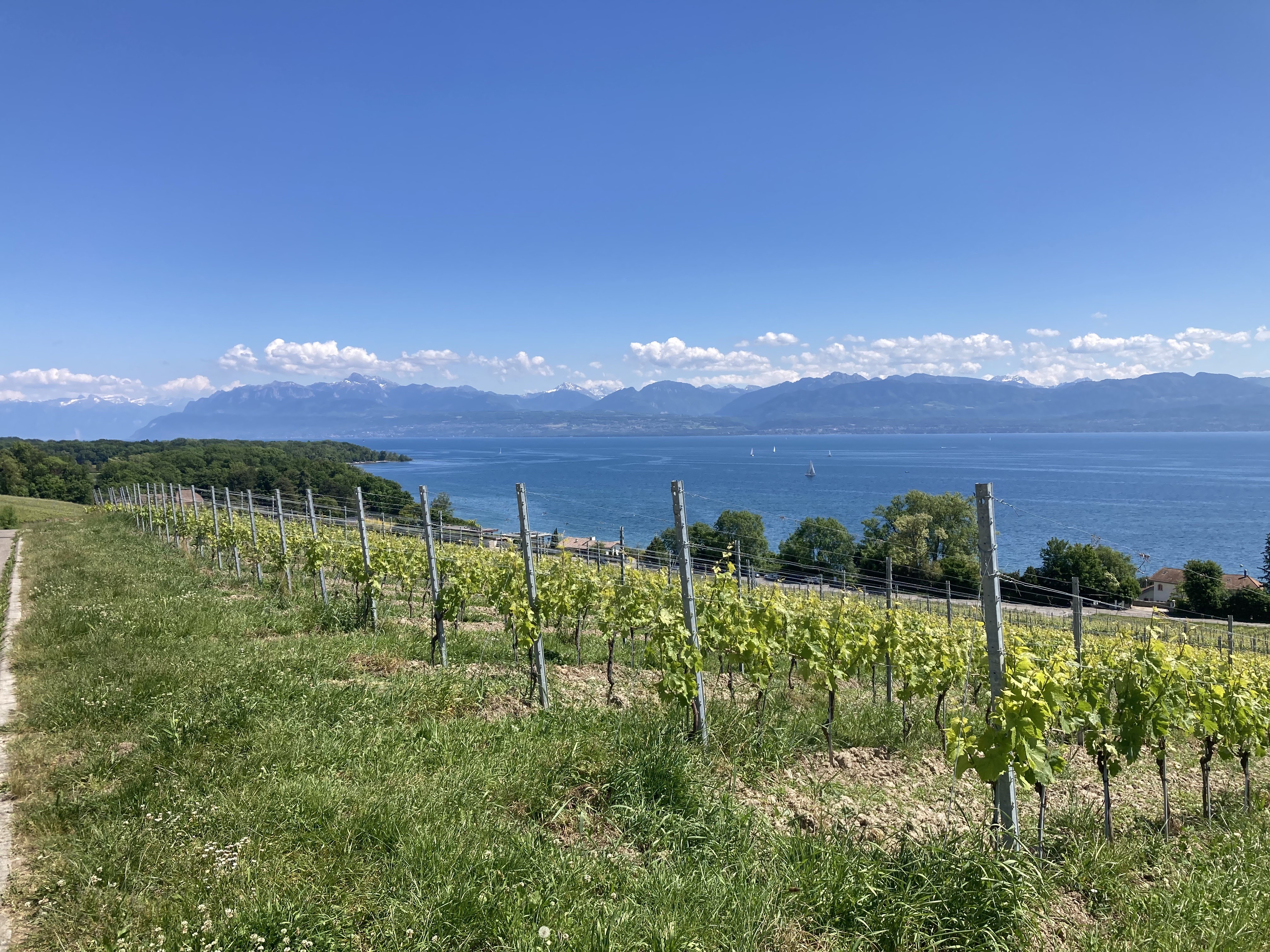 18 Mai 25 - Externe (Suisse)