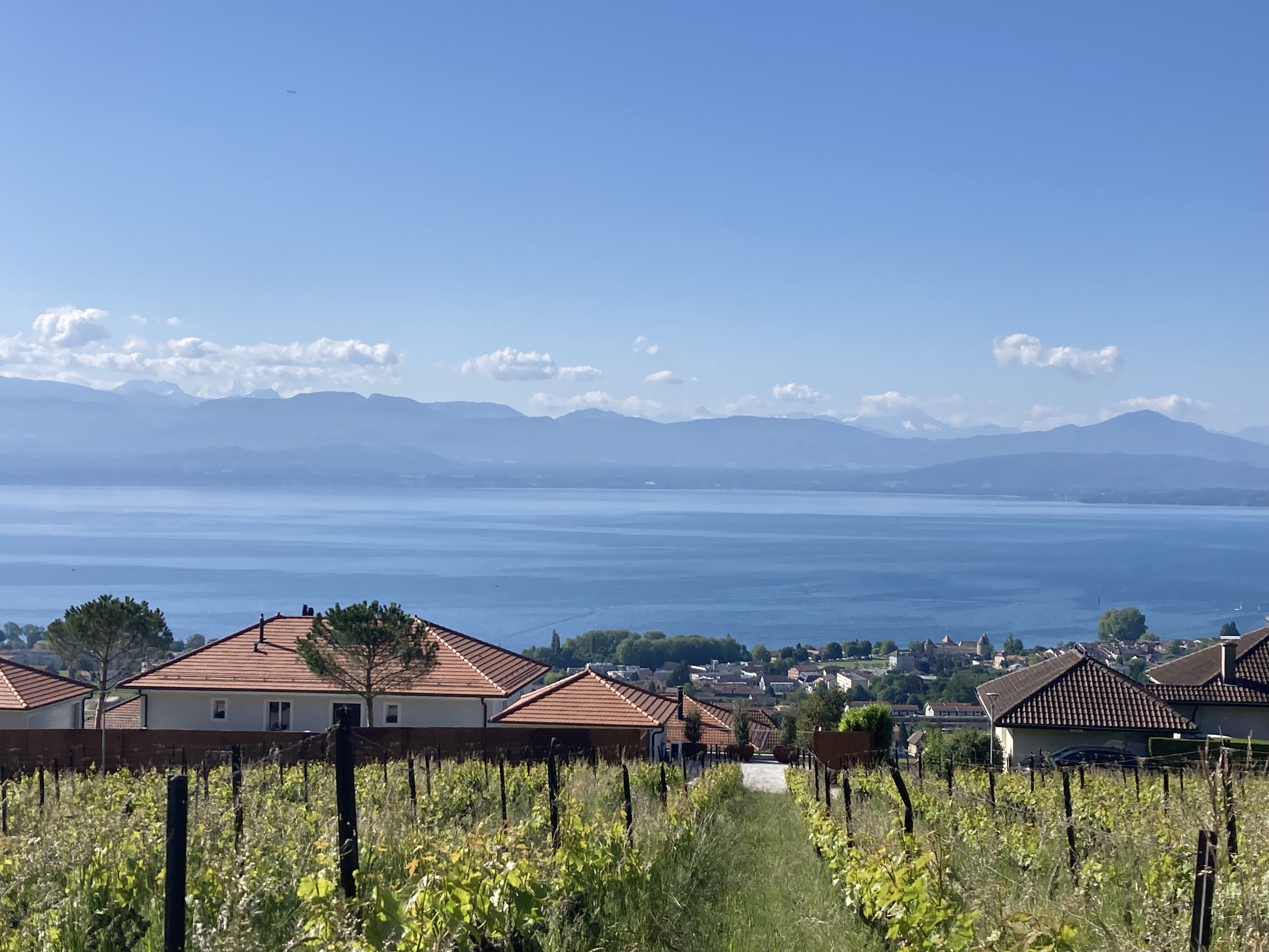 18 Mai 25 - Externe (Suisse)