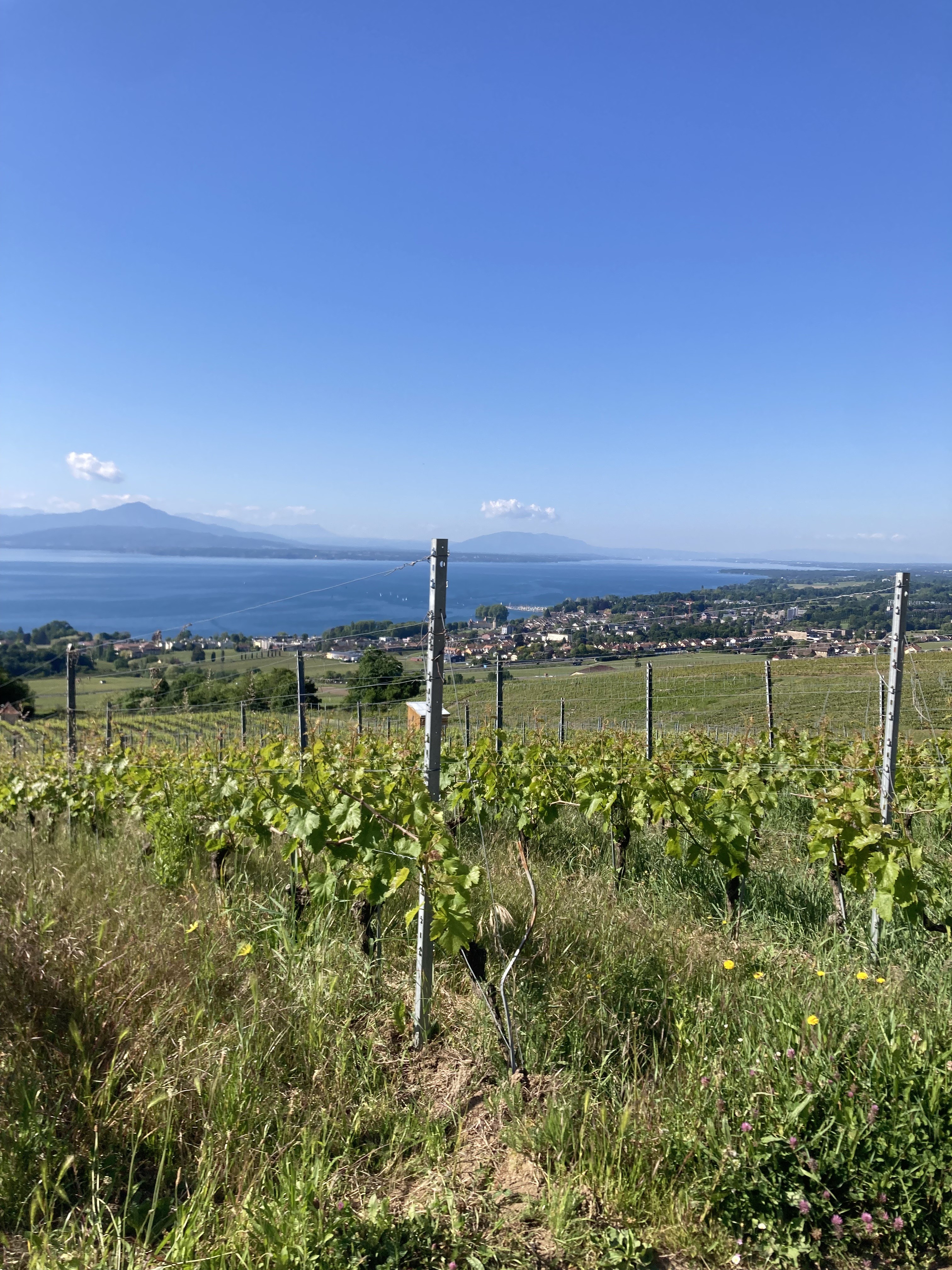 18 Mai 25 - Externe (Suisse)