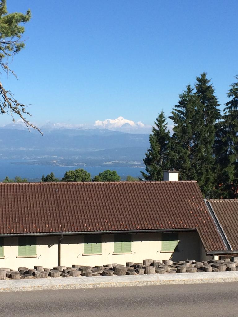 Vallée de Joux 17-06-17(24)