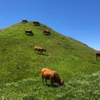 2° Etape . Arêches Beaufort -  Séez